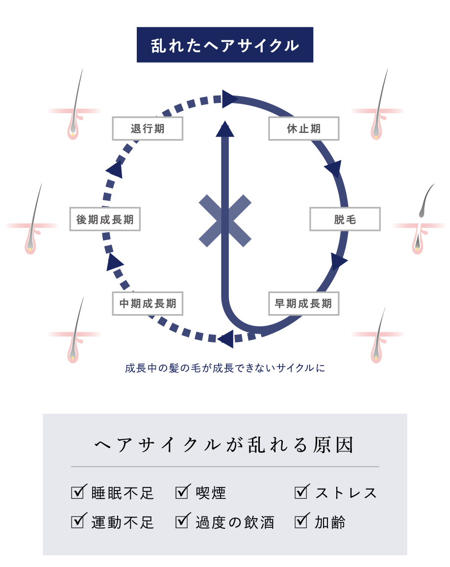 乱れたヘアサイクル ヘアサイクルが乱れる原因