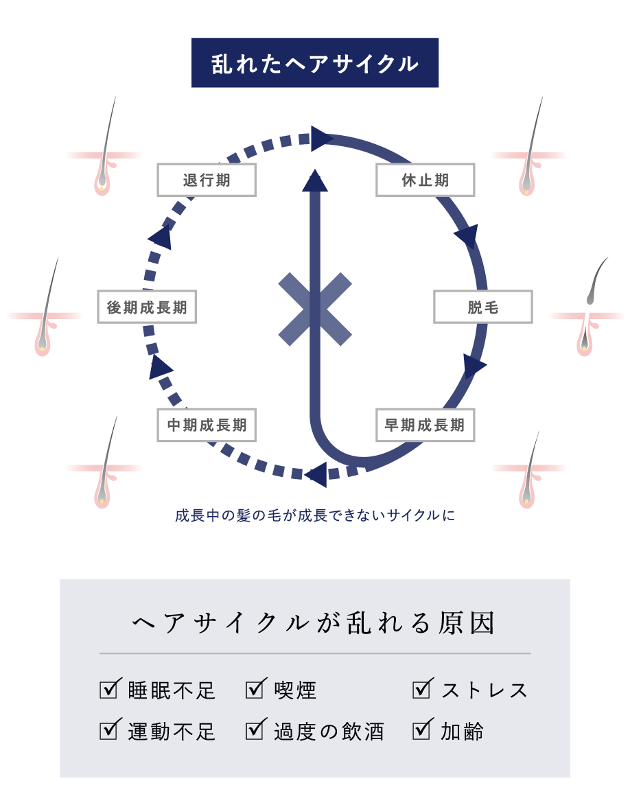 乱れたヘアサイクル　ヘアサイクルが乱れる原因