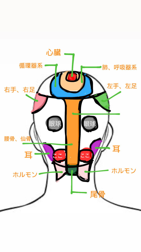 緊張型の頭痛とは？！