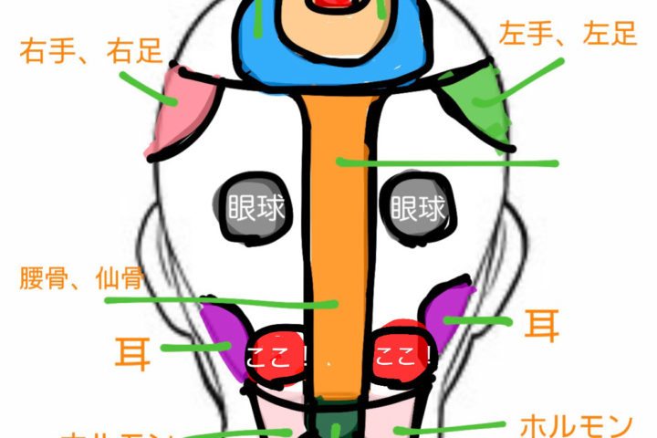 緊張型の頭痛とは？！